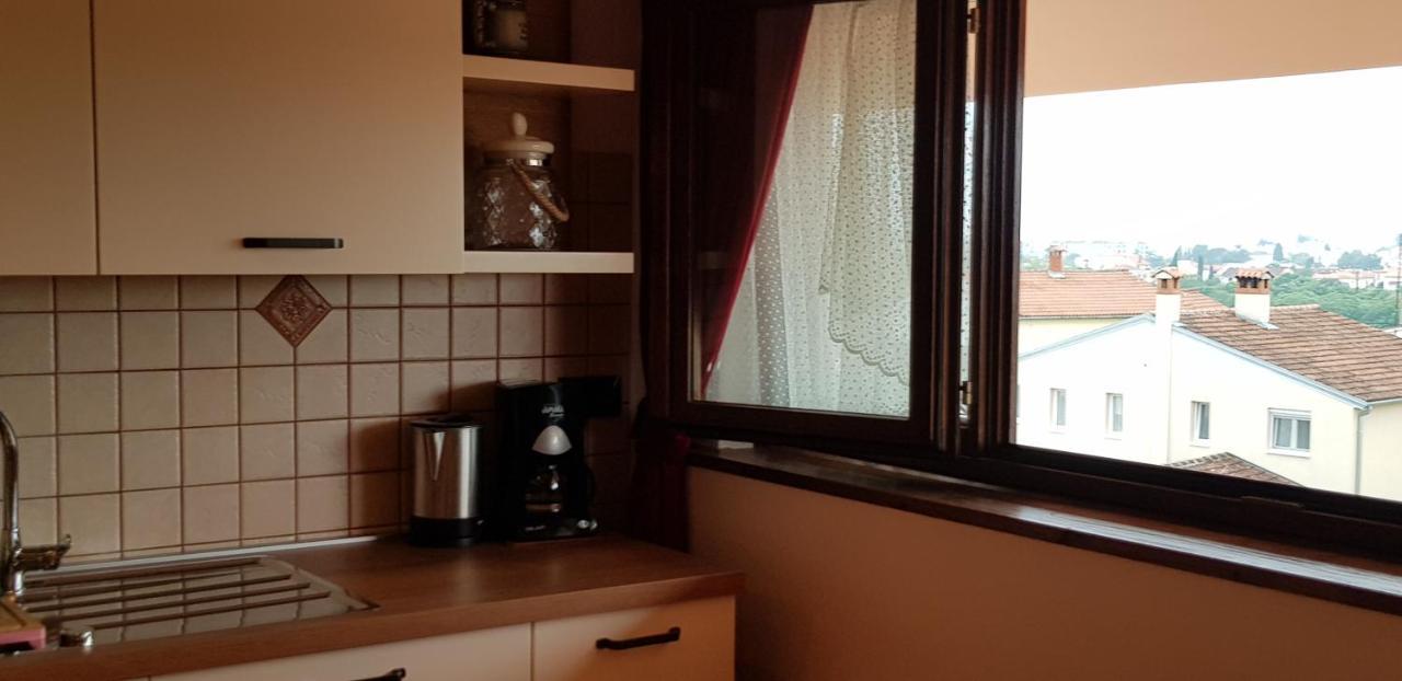 Apartmens Alenka Rovigno Esterno foto