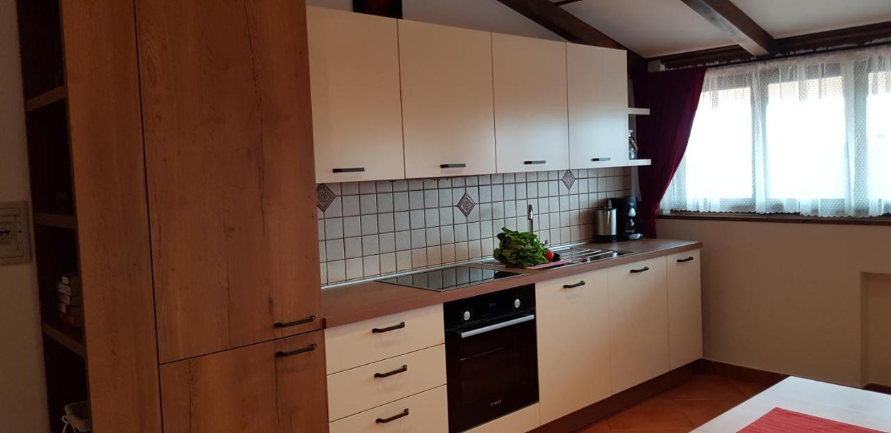 Apartmens Alenka Rovigno Esterno foto