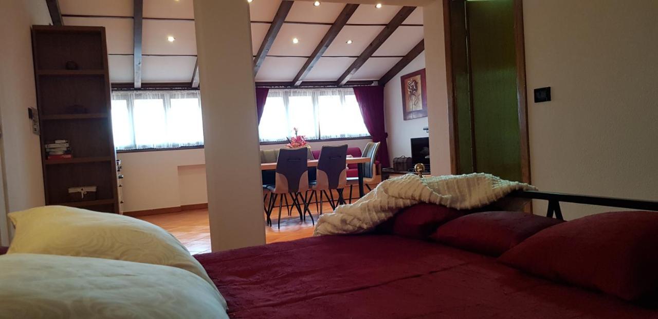 Apartmens Alenka Rovigno Esterno foto